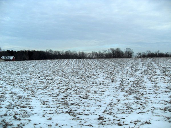 FARMLAND AUCTION, 113+/- Acres - 2 Farms in 4 Tracts